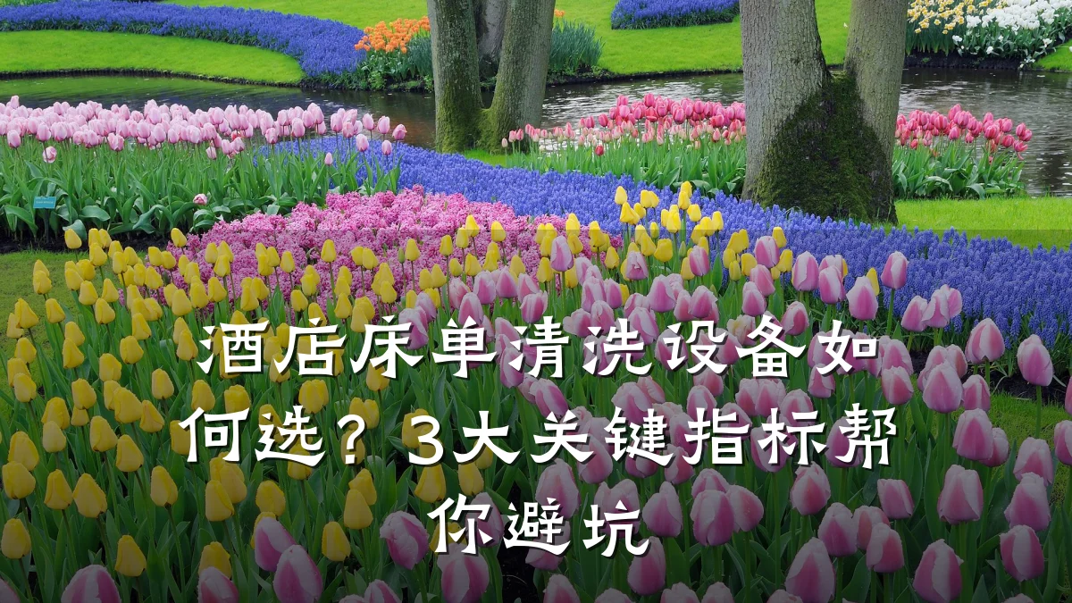 酒店床单清洗设备如何选？3大关键指标帮你避坑