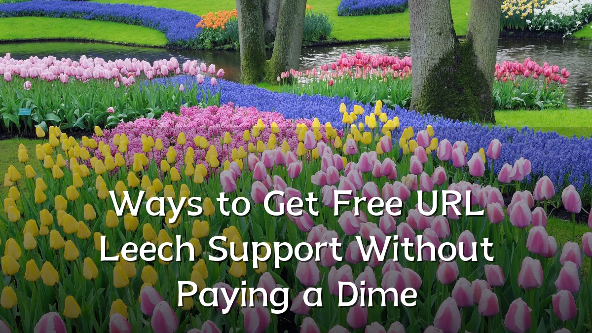 Ways to Get Free URL Leech Support Without Paying a Dime