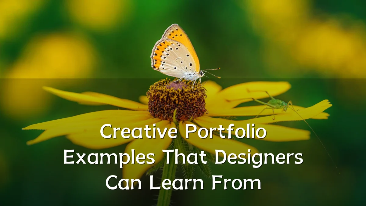 Creative Portfolio Examples That Designers Can Learn From