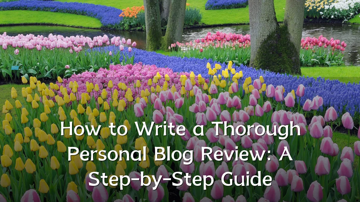 How to Write a Thorough Personal Blog Review: A Step-by-Step Guide