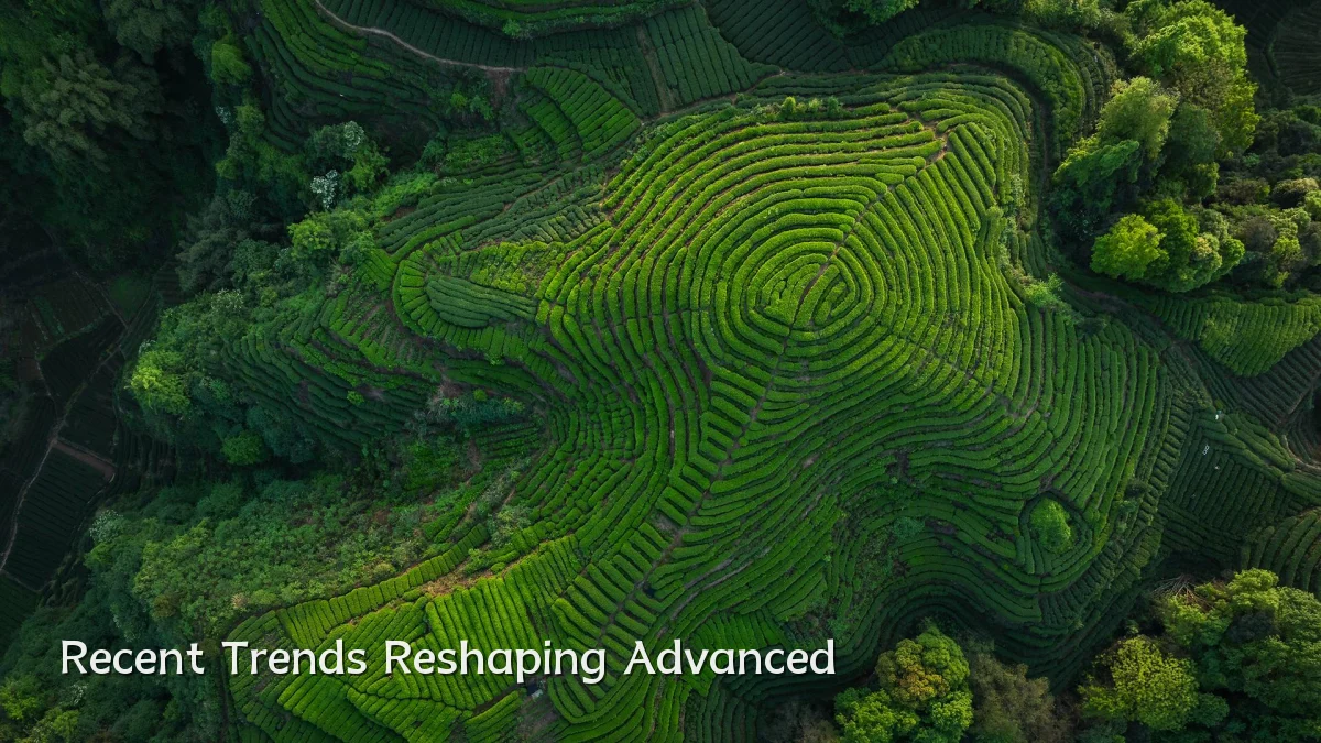Recent Trends Reshaping Advanced