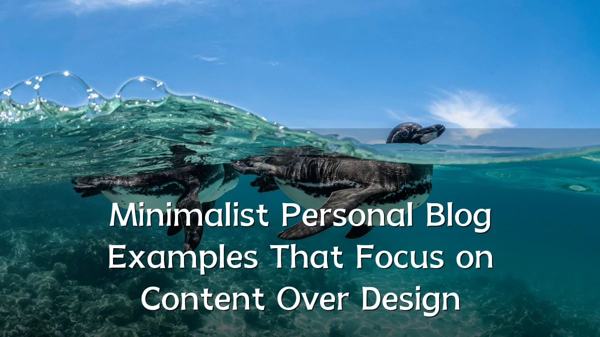 Minimalist Personal Blog Examples That Focus on Content Over Design