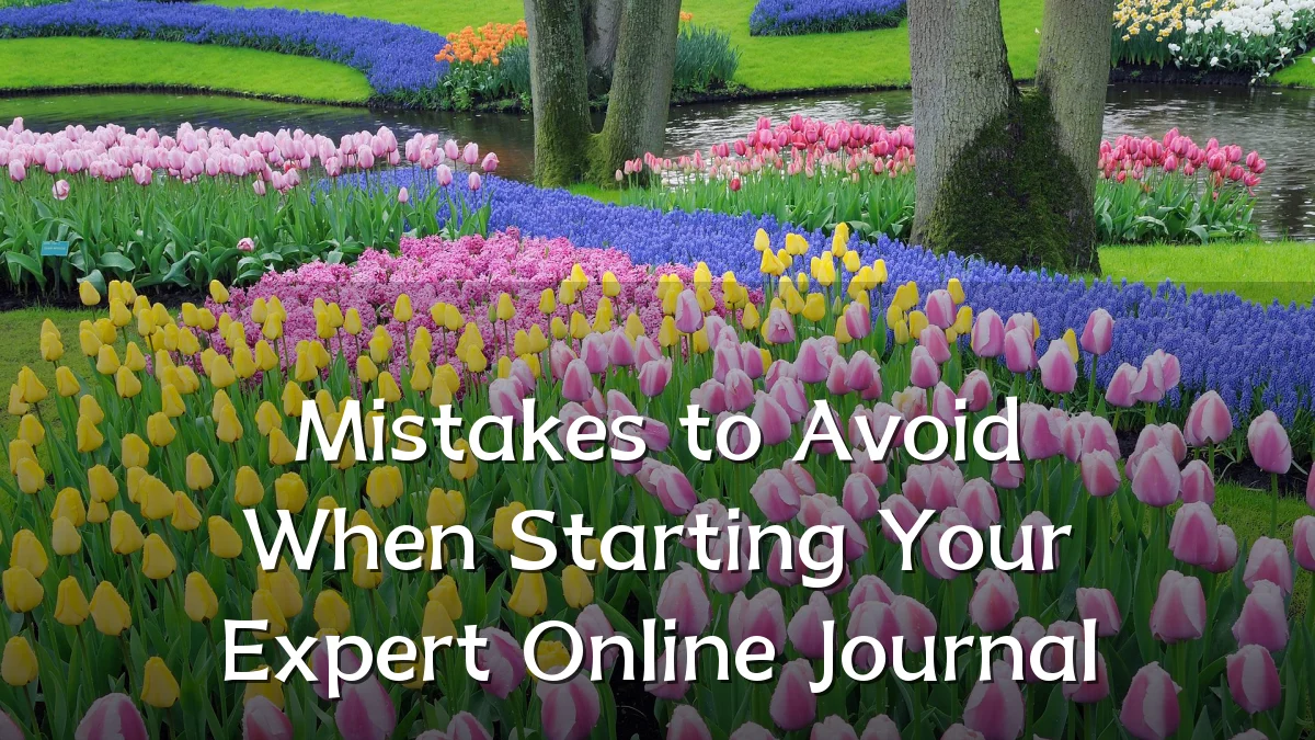 Mistakes to Avoid When Starting Your Expert Online Journal