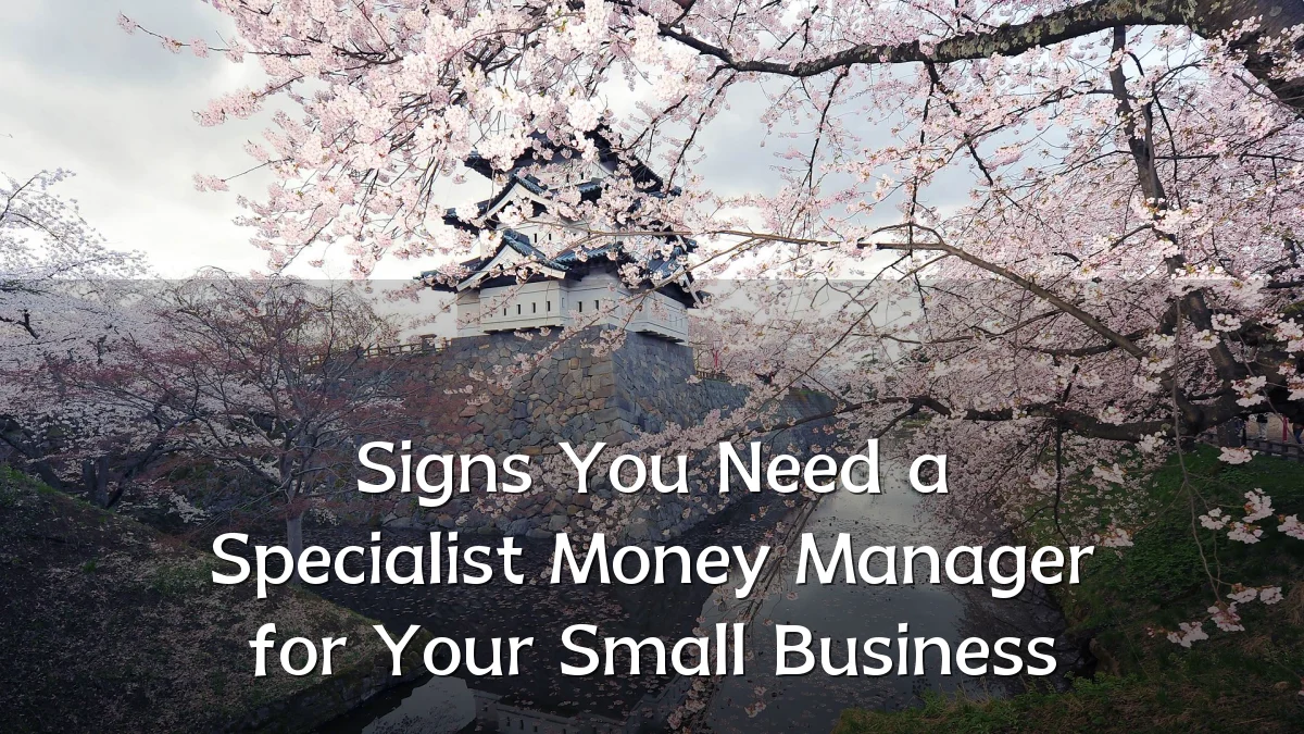 Signs You Need a Specialist Money Manager for Your Small Business