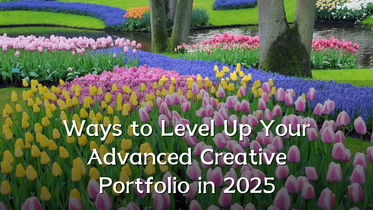 Ways to Level Up Your Advanced Creative Portfolio in 2025