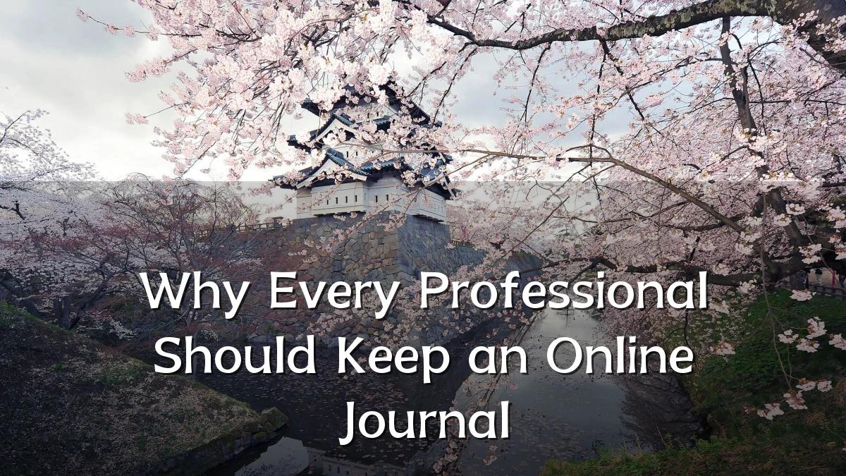 Why Every Professional Should Keep an Online Journal