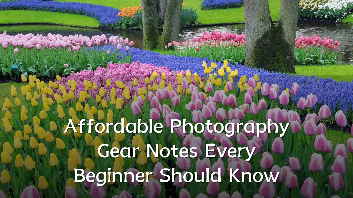 Affordable Photography Gear Notes Every Beginner Should Know