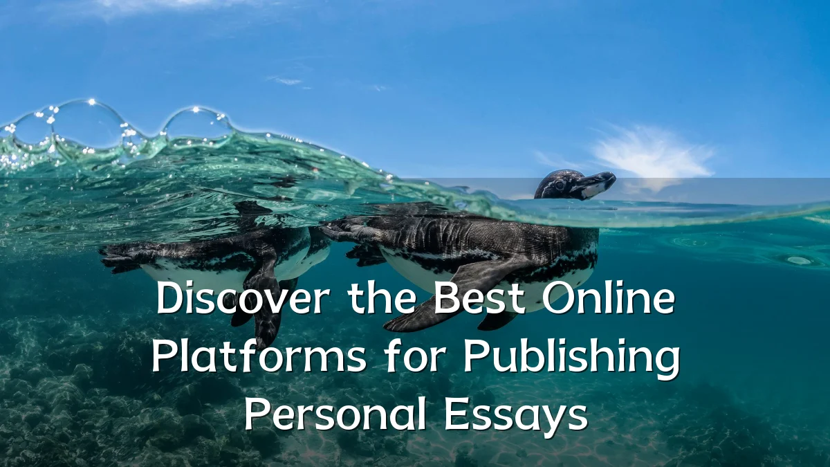 Discover the Best Online Platforms for Publishing Personal Essays