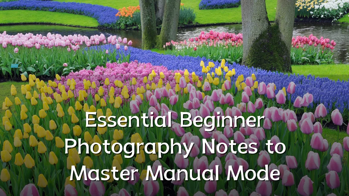 Essential Beginner Photography Notes to Master Manual Mode