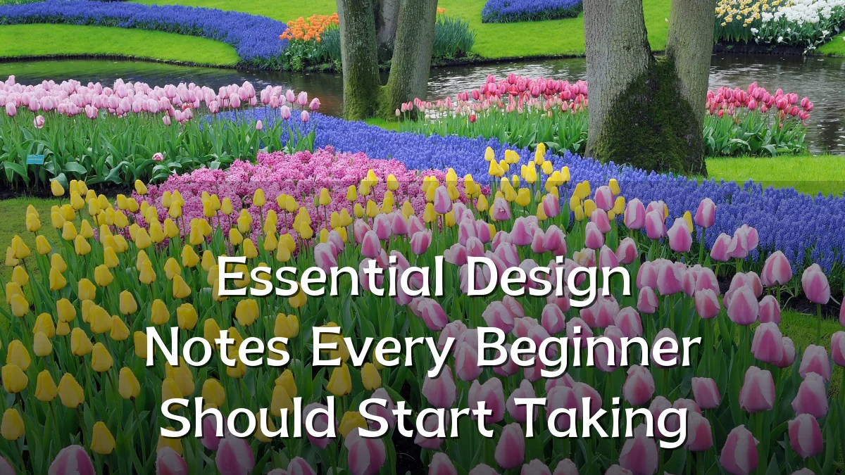 Essential Design Notes Every Beginner Should Start Taking