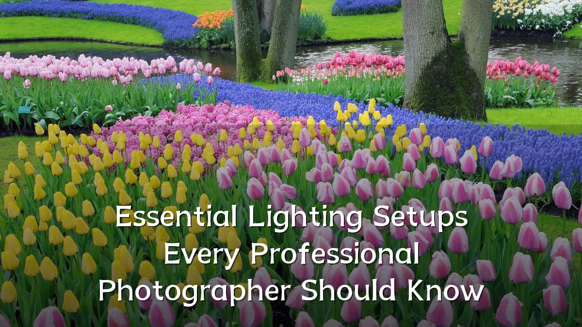 Essential Lighting Setups Every Professional Photographer Should Know