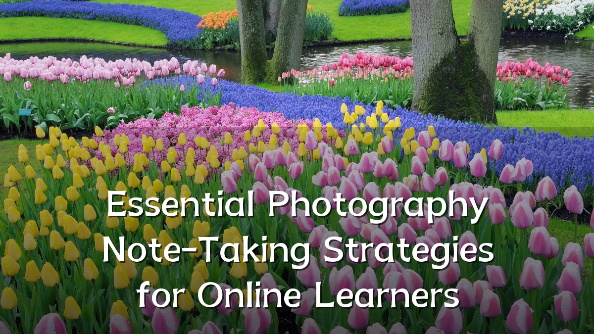 Essential Photography Note-Taking Strategies for Online Learners