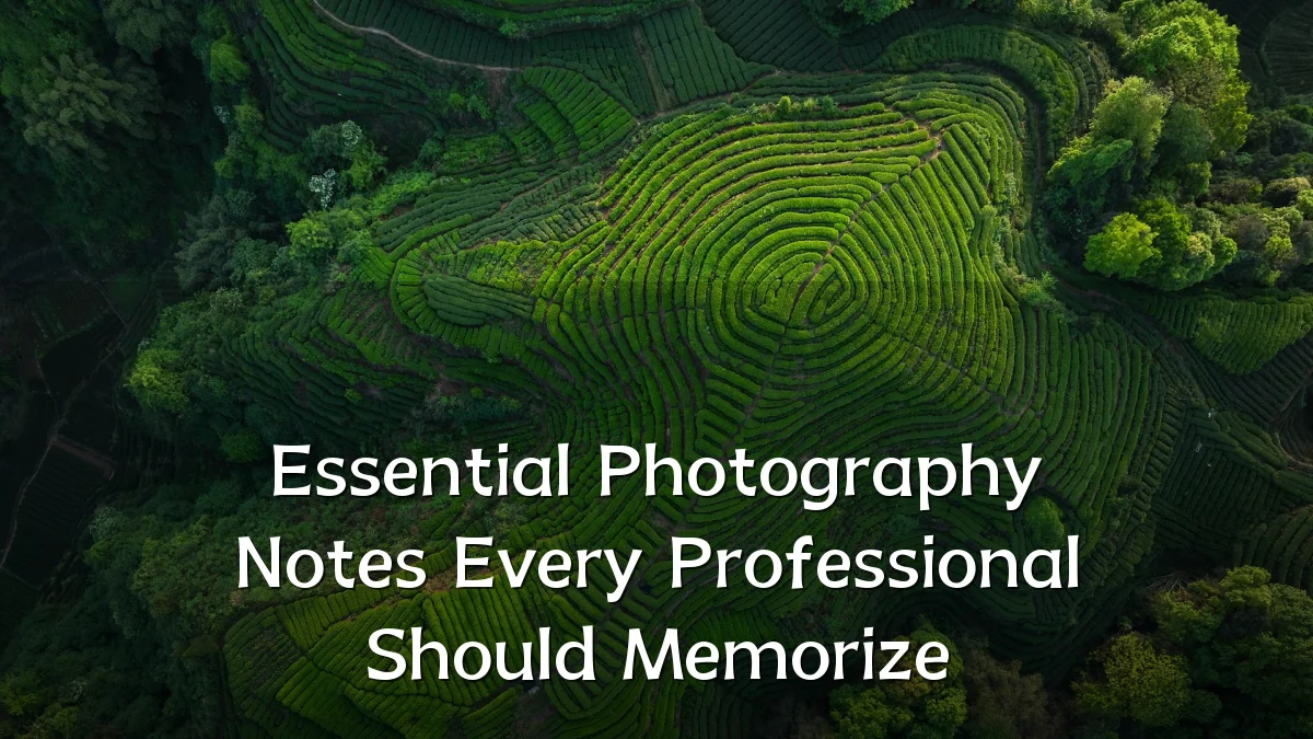 Essential Photography Notes Every Professional Should Memorize