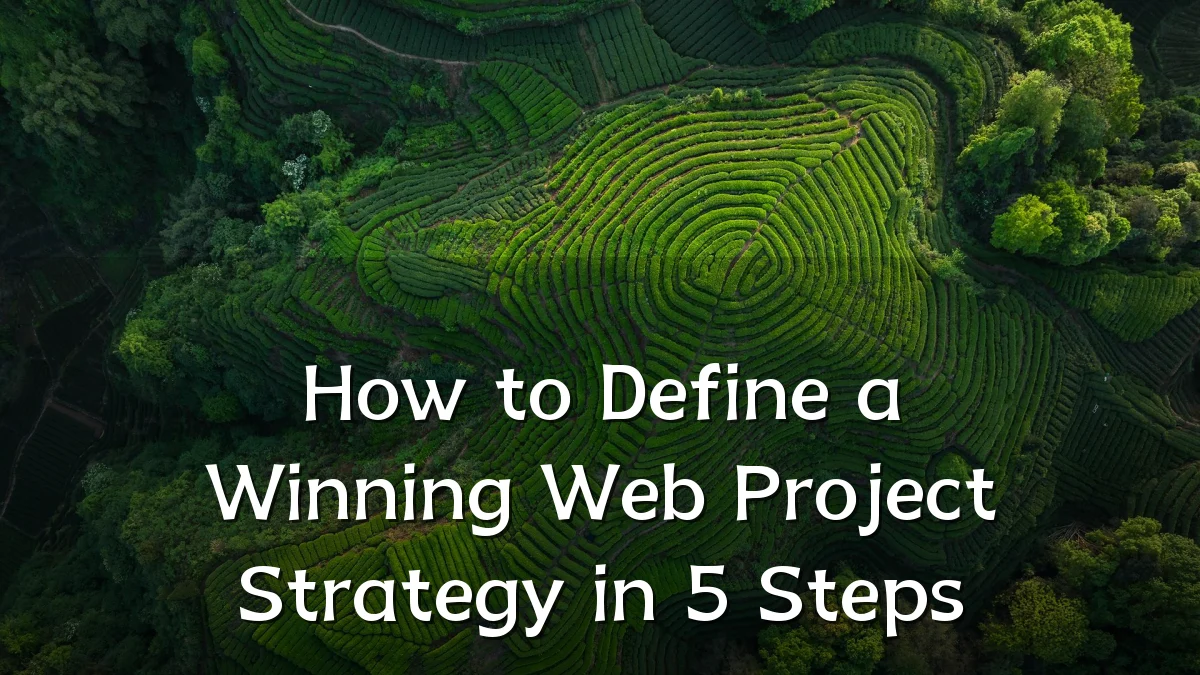 How to Define a Winning Web Project Strategy in 5 Steps