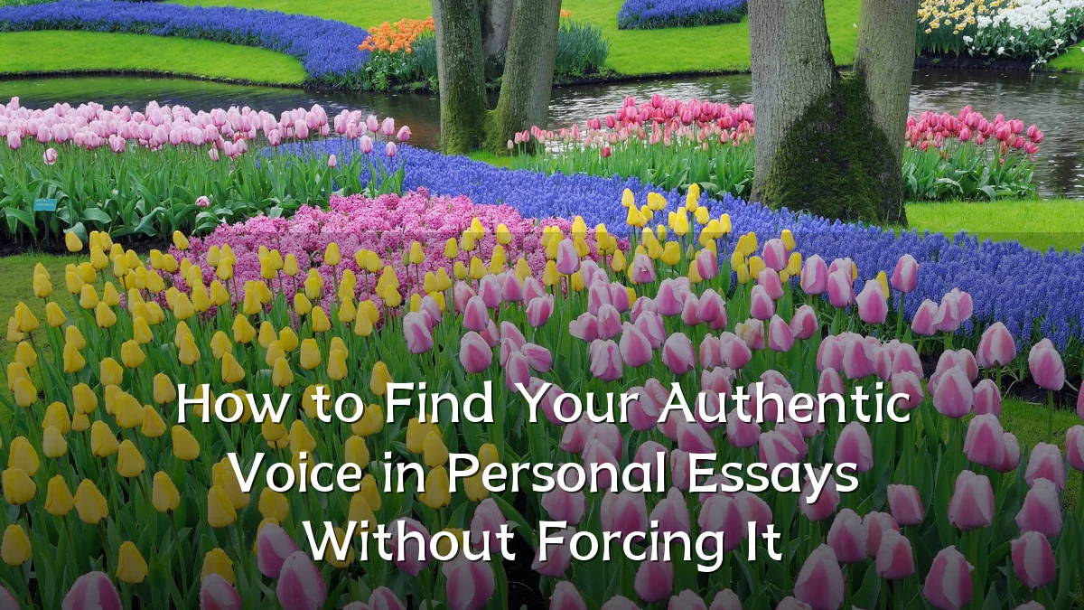 How to Find Your Authentic Voice in Personal Essays Without Forcing It
