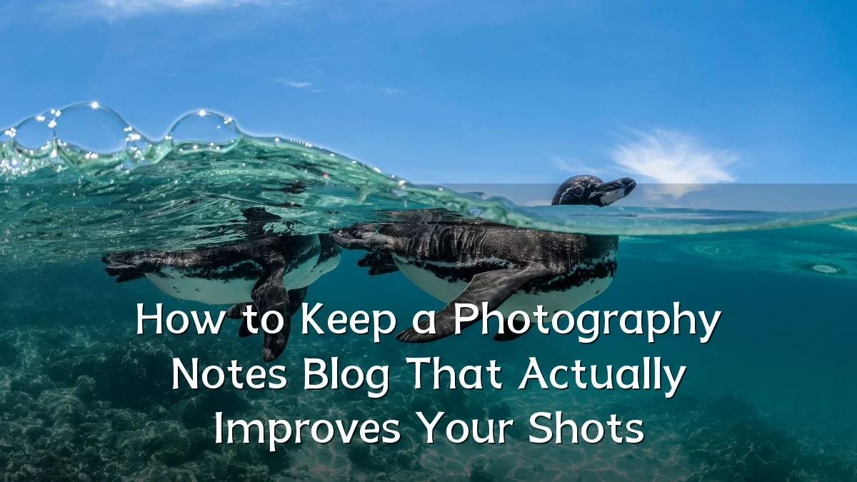 How to Keep a Photography Notes Blog That Actually Improves Your Shots