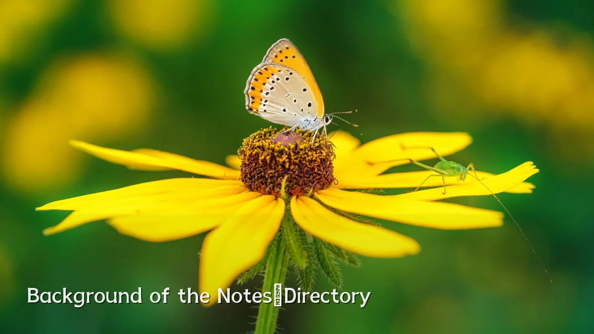 Background of the Notes‑Directory