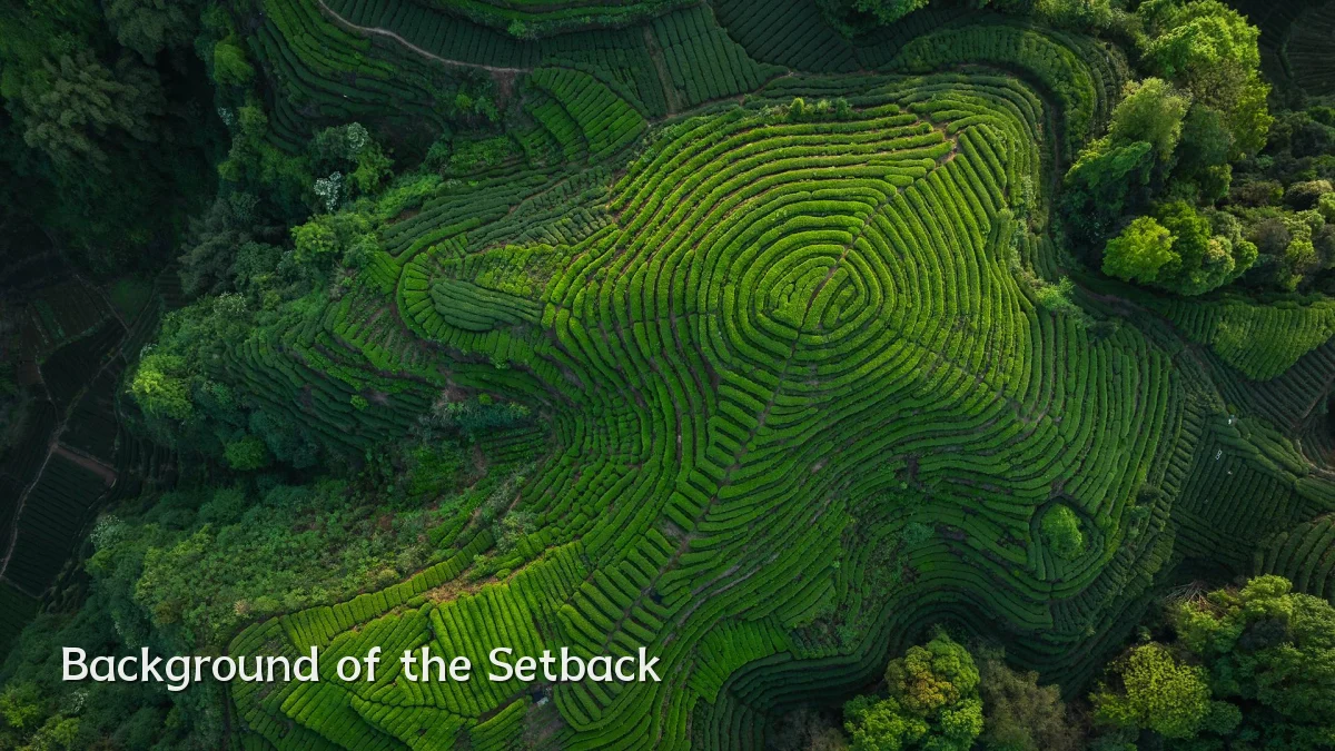 Background of the Setback