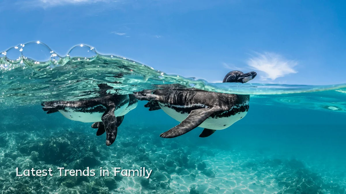 Latest Trends in Family