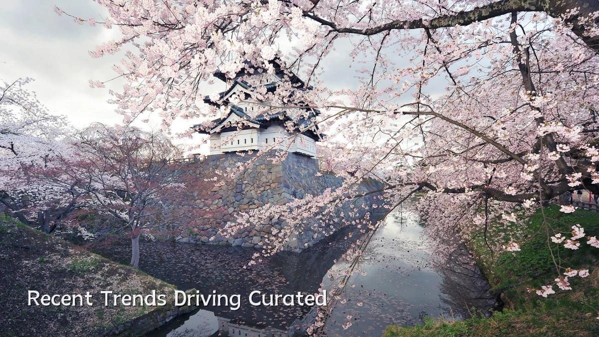 Recent Trends Driving Curated