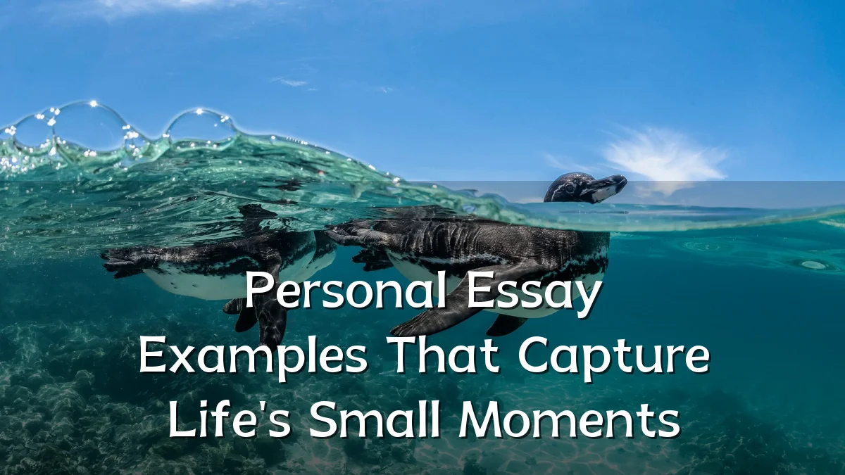 Personal Essay Examples That Capture Life's Small Moments