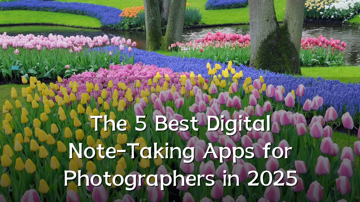 The 5 Best Digital Note-Taking Apps for Photographers in 2025