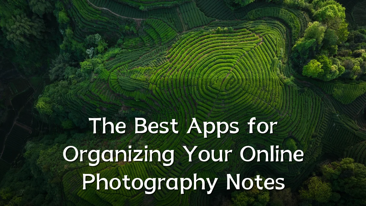The Best Apps for Organizing Your Online Photography Notes