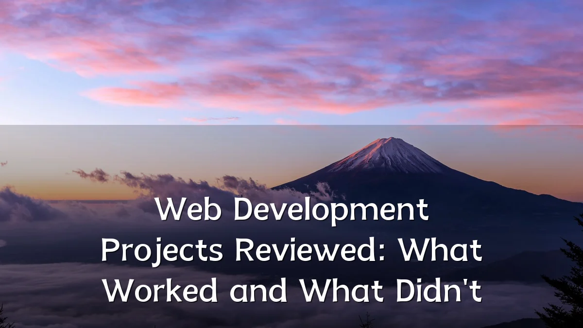 Web Development Projects Reviewed: What Worked and What Didn't