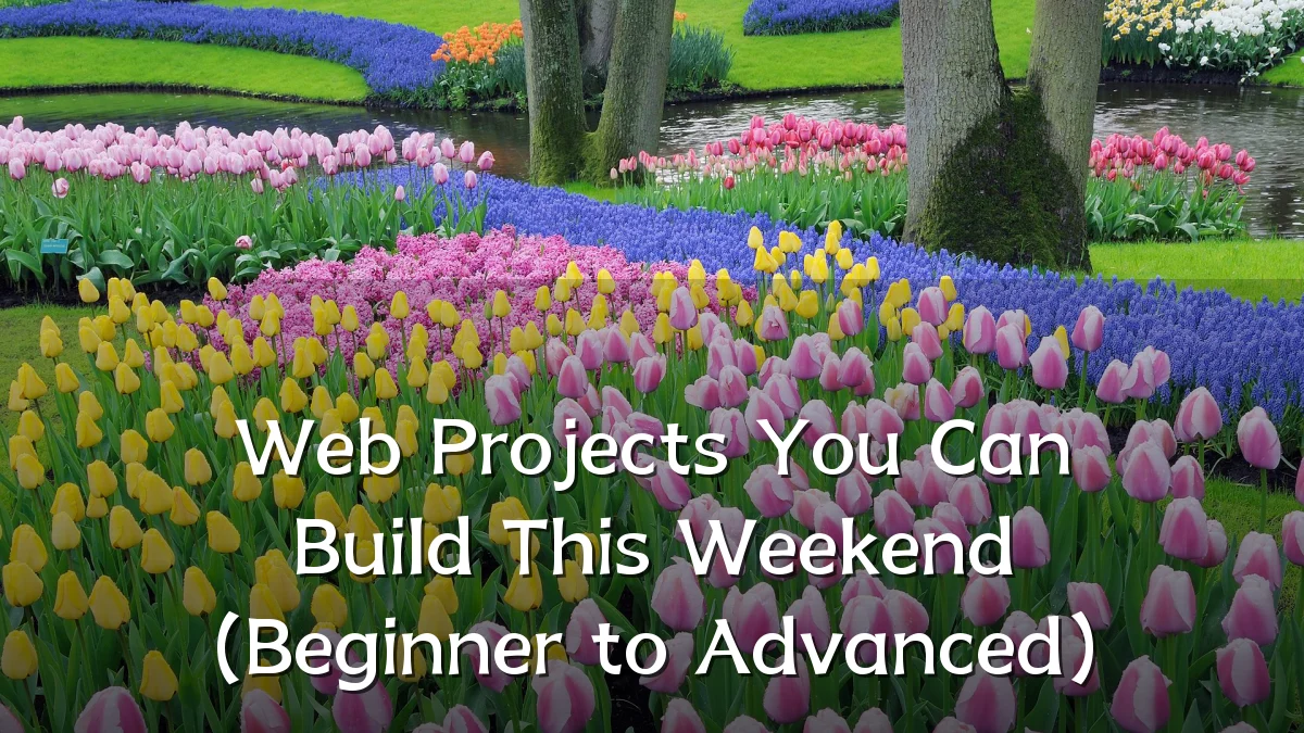 Web Projects You Can Build This Weekend (Beginner to Advanced)