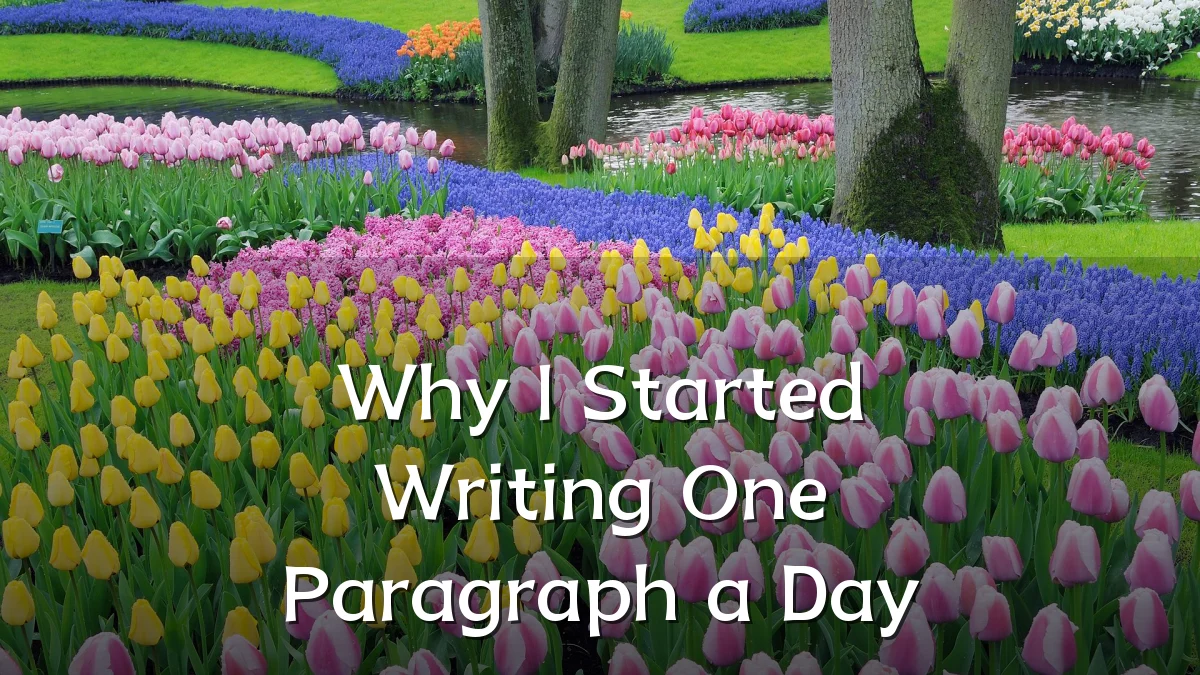 Why I Started Writing One Paragraph a Day