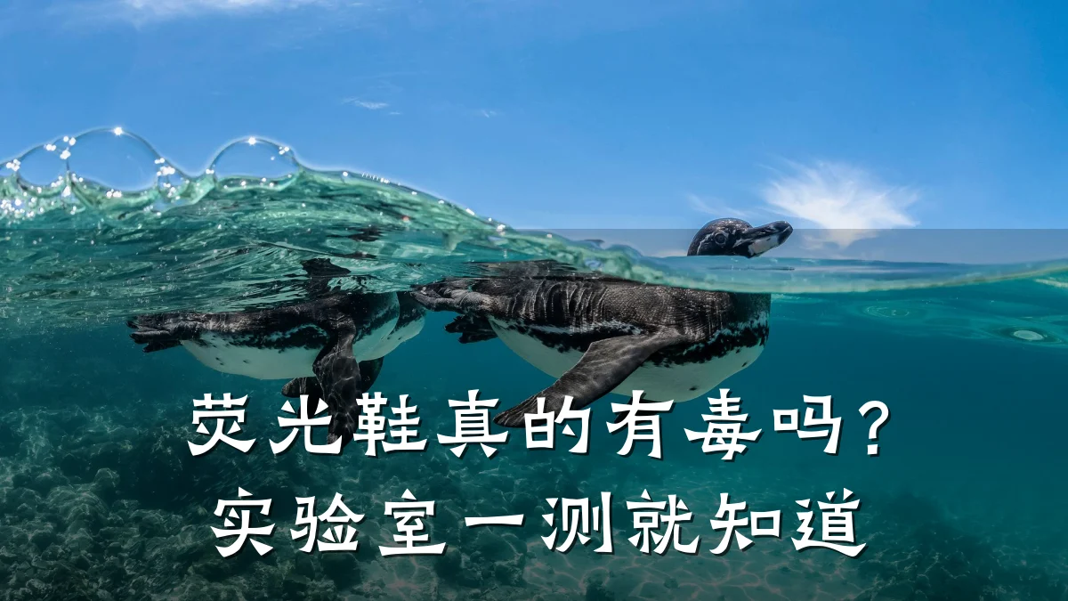 荧光鞋真的有毒吗?实验室一测就知道