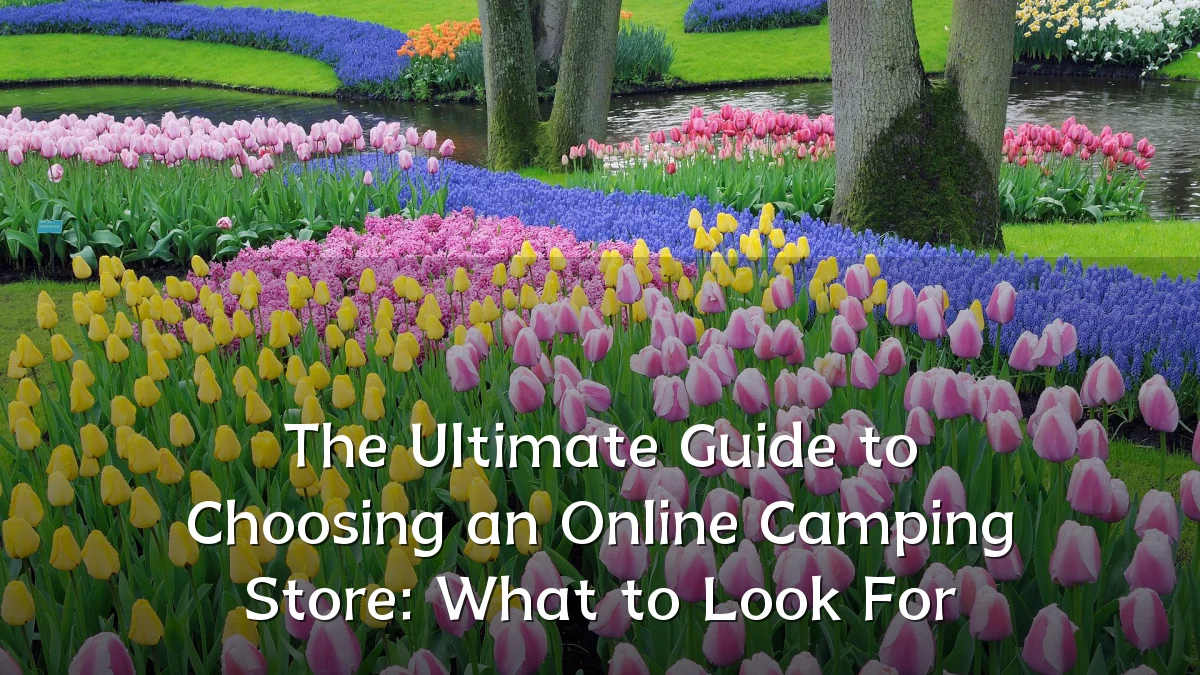 The Ultimate Guide to Choosing an Online Camping Store: What to Look For